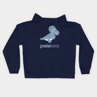 Grandadsaurus Shirt Dinosaur Family Shirt Set Kids Hoodie